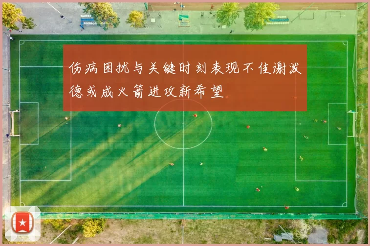 伤病困扰与关键时刻表现不佳谢泼德或成火箭进攻新希望